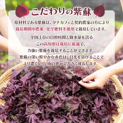 赤紫蘇シロップ(赤しそシロップ) 1本300ml tc-0007
