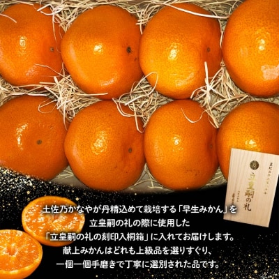 土佐乃かなや 早生みかん(立皇嗣の礼の刻印入桐箱使用)8玉 贈答用 11月配送開始 be-0066