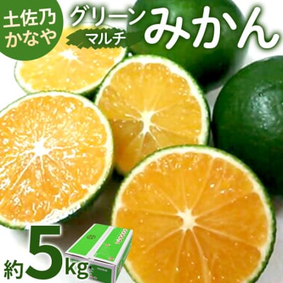 土佐乃かなや マルチ グリーンみかん5kg be-0061
