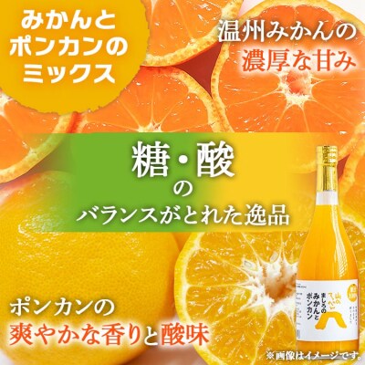 間城農園 100%ストレートジュース 720ml 4本(みかんとポンカンのミックス) ms-0062