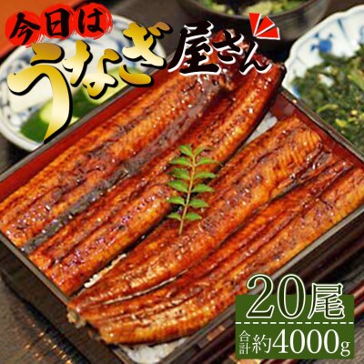 肉厚ふっくら香ばしい 台湾産養殖うなぎ蒲焼 200g 20尾セット ss-0031