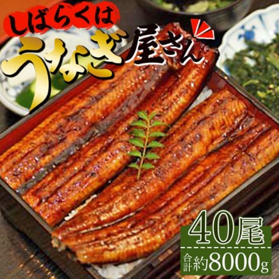肉厚ふっくら香ばしい 台湾産養殖うなぎ蒲焼 200g 40尾セット ss-0032