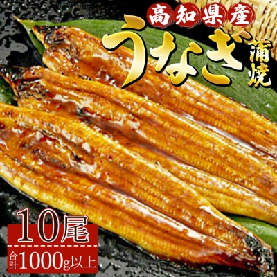 高知県産養殖うなぎ蒲焼 10尾(合計1000g以上) ss-0041