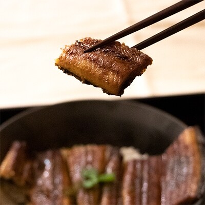 浜名湖うなぎ蒲焼 2人前セット【さとふる限定】