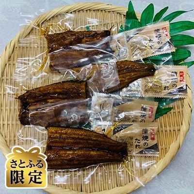 【2022年3月上旬発送】浜名湖 鰻蒲焼 約60g×4P【さとふる限定】