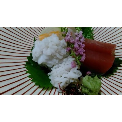 遠州灘ハモ(骨切り加工済)