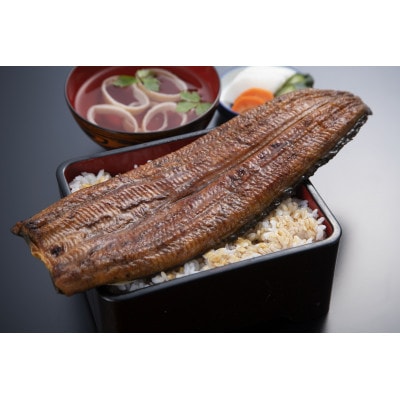 浜名湖鰻蒲焼ビッグサイズ 約250g×1本