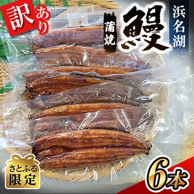 訳あり 国産 浜名湖鰻 蒲焼6本【さとふる限定】