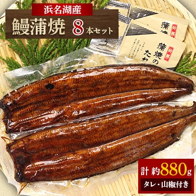 【浜名湖産】 鰻蒲焼2本4セット