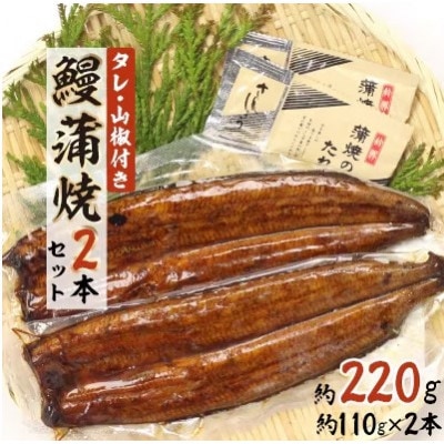 【3ヵ月毎定期便】浜名湖鰻蒲焼2本 3ヶ月ごと全4回