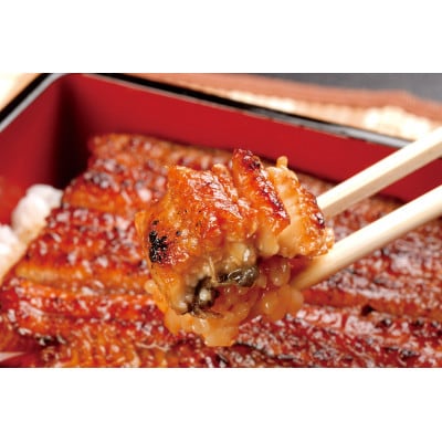 【3ヵ月毎定期便】浜名湖鰻の食べ比べ便　3か月ごと　全4回