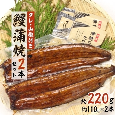 2022年8月発送開始『定期便』浜名湖鰻蒲焼2本　全4回