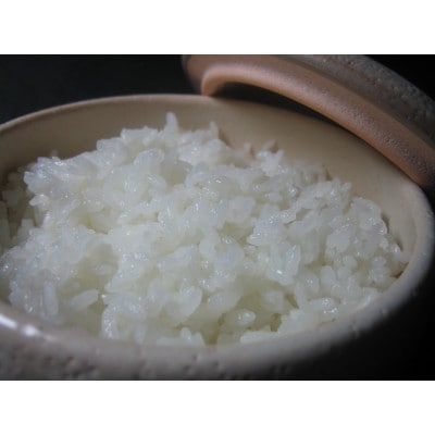 雄踏ファームカモ産「みつばちまもる米」5kgコシヒカリ(精米)