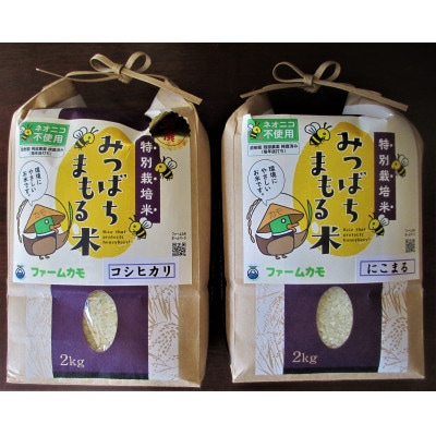 雄踏ファームカモ産「みつばちまもる米」コシヒカリ2kg・にこまる2kgセット