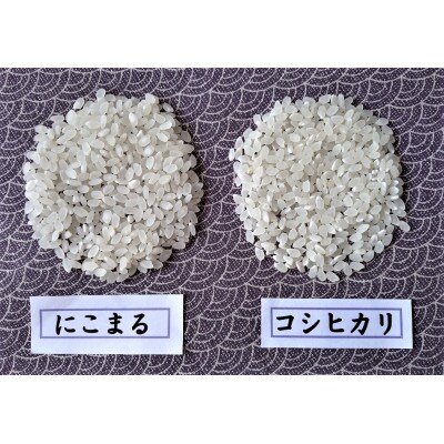 雄踏ファームカモ産「みつばちまもる米」コシヒカリ2kg・にこまる2kgセット