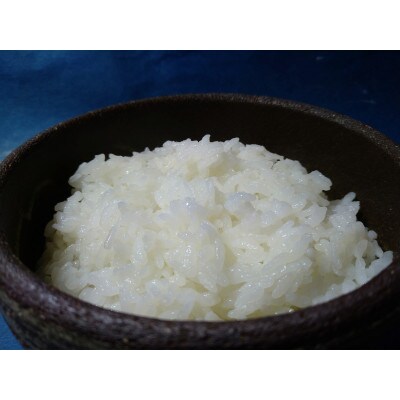 雄踏ファームカモ産「みつばちまもる米」5kgにこまる白米
