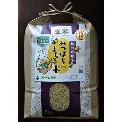 【毎月定期便】雄踏ファームカモ産「みつばちまもる米」5kgコシヒカリ(玄米) 全3回
