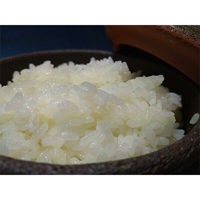 【毎月定期便】雄踏ファームカモ産「みつばちまもる米」5kgコシヒカリ(白米) 全3回