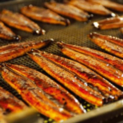 丸半堀江商店の浜名湖産串焼きうなぎ蒲焼　7袋