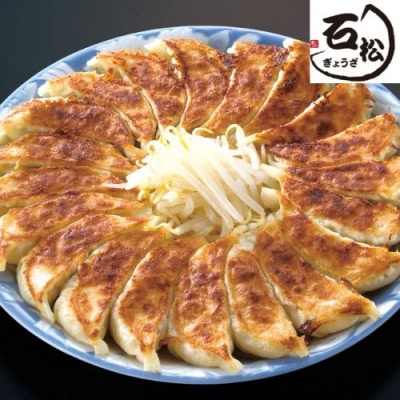 石松餃子の浜松餃子食べ比べセット(石松餃子40個、肉餃子18個)