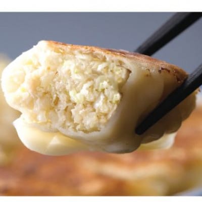 石松餃子の浜松餃子食べ比べセット(石松餃子40個、肉餃子18個)