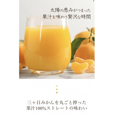 和田農園の三ヶ日みかんを丸ごと搾ったみかんジュース 3種詰め合わせ10本入り
