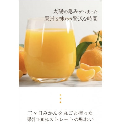 和田農園の三ヶ日みかんを丸ごと搾ったみかんジュース  3種アソート6本入り