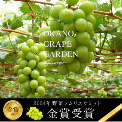 2025年7月～順次発送予定　2024年金賞受賞　野菜ソムリエが手掛ける　シャインマスカット　1房