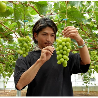 2025年7月～順次発送予定　2024年金賞受賞　野菜ソムリエが手掛ける　シャインマスカット　2房