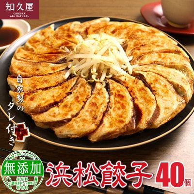 知久屋の浜松餃子食べきりセット 計40個 (20個入×2袋　タレ8袋)　
