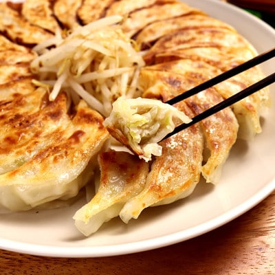 知久屋の浜松餃子どっさりセット 計120個 (20個入×6袋　タレ24袋)