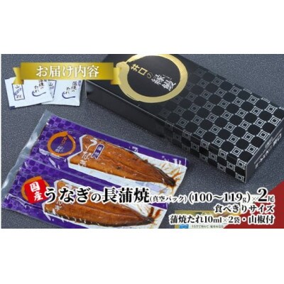 【食べきりサイズ】ITI優秀味覚賞受賞 うなぎ長蒲焼2尾
