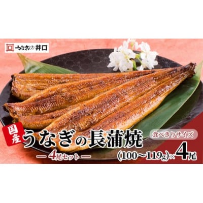 【食べきりサイズ】ITI優秀味覚賞受賞 うなぎ長蒲焼4尾