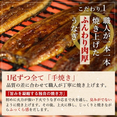【食べきりサイズ】ITI優秀味覚賞受賞 うなぎ長蒲焼4尾