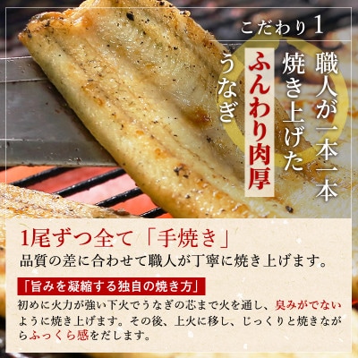 【食べきりサイズ】ITI優秀味覚賞受賞 うなぎ長白焼2尾