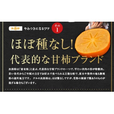 【贈答・お歳暮】テルの次郎柿『長寿郎』4L　6玉入り