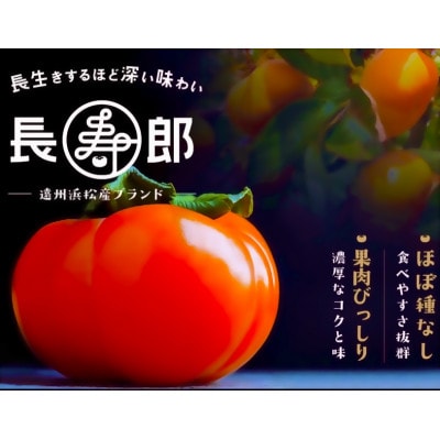 訳あり　テルの次郎柿『長寿郎』20玉～32玉入り(3L～M)