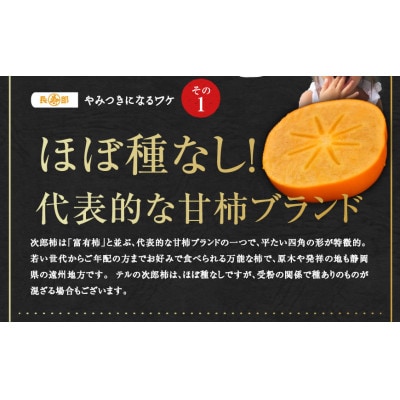 【11月上旬より順次出荷】テルの次郎柿『長寿郎』10玉～14玉入り(2L～M)※早期終了有り