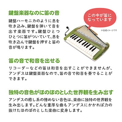 ゆる～い音色を楽しめる鍵盤リコーダー アンデス