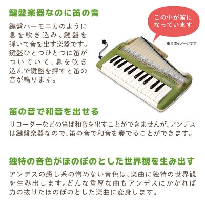ゆる～い音色を楽しめる鍵盤リコーダー アンデス