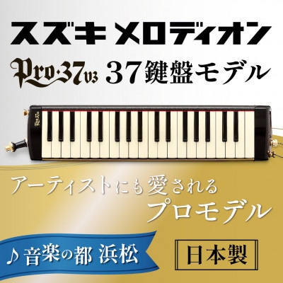 アーティストにも愛されるプロメロディオン PRO-37v3