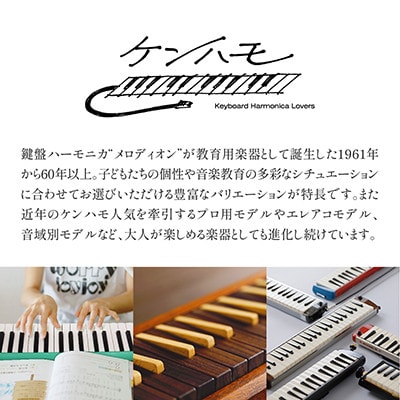 アーティストにも愛されるプロメロディオン PRO-37v3