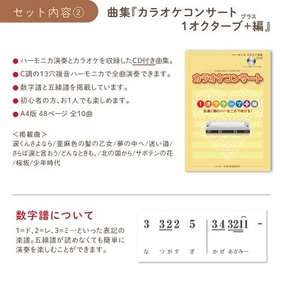 ハーモニカを組み立てて、演奏まで楽しもうセット