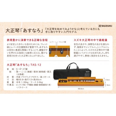 大正琴を弾いてみよう!大正琴とCD付き教則本 入門セット