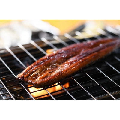 【毎月定期便】浜名湖マルマ(R)浜名湖産うなぎ長蒲焼2尾全12回