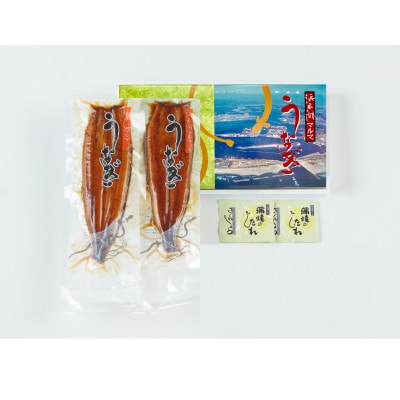 【毎月定期便】浜名湖マルマ(R)浜名湖産うなぎ長蒲焼2尾全12回
