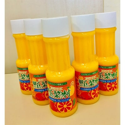 1977年創業　野菜村ドレッシング(三ヶ日みかん)300ml　5本セット