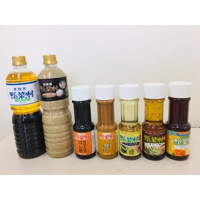 【期間限定】1977年創業　野菜村ドレッシング　バラエティセット　B