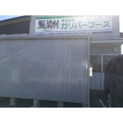 野菜村ドレッシング　300ml3種　+　100ml4種　　調味料7本ギフトセット  A