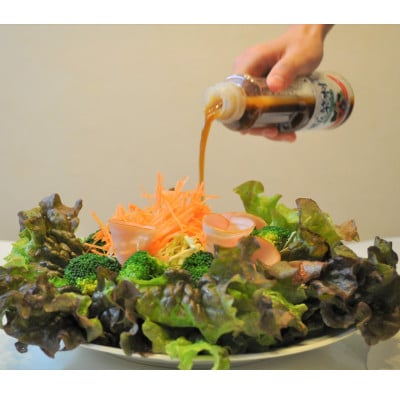 野菜村ドレッシング 5種 Cセット